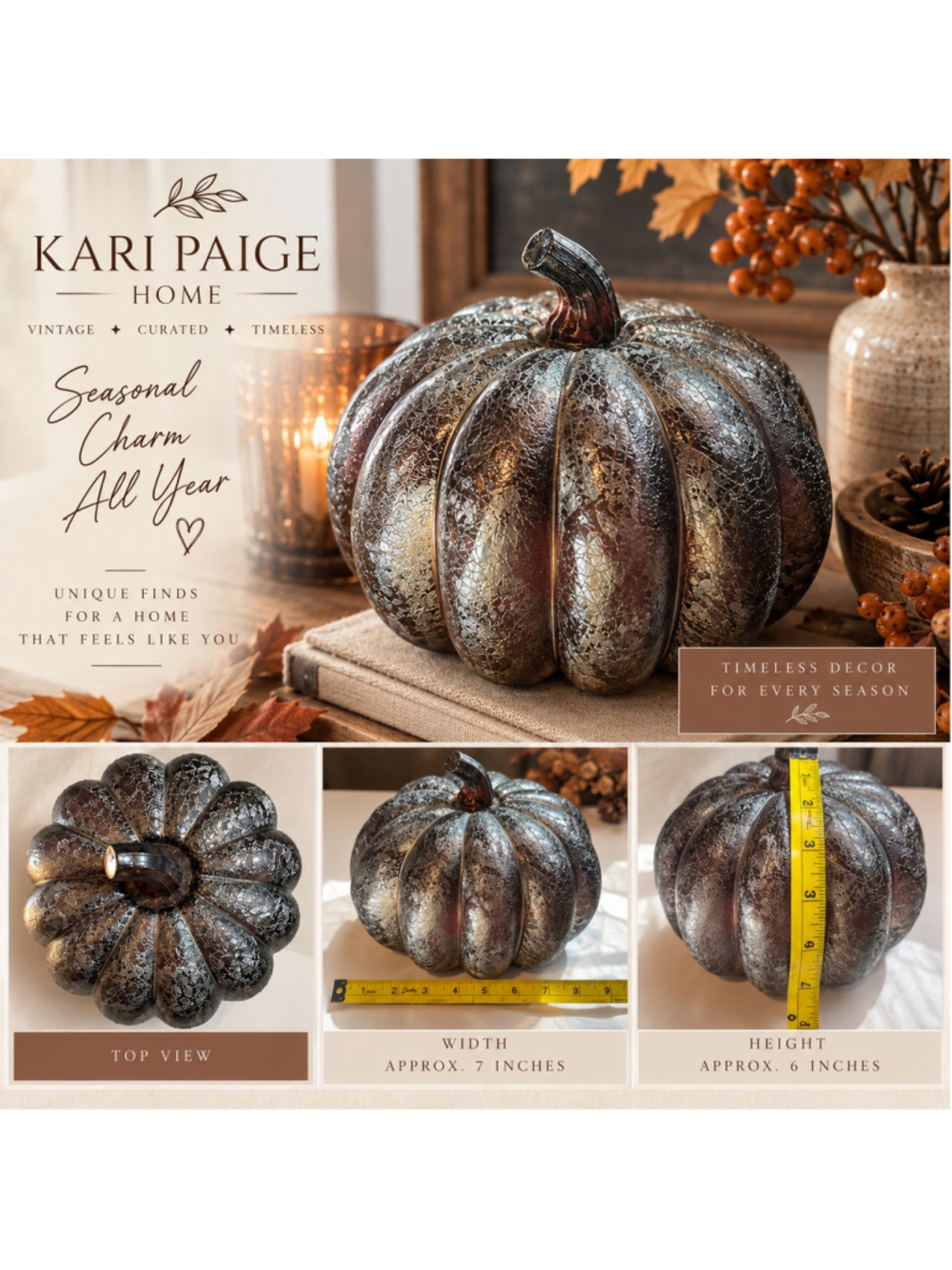 Kari Paige Home Decorative Pumpkin Decor large Black decor